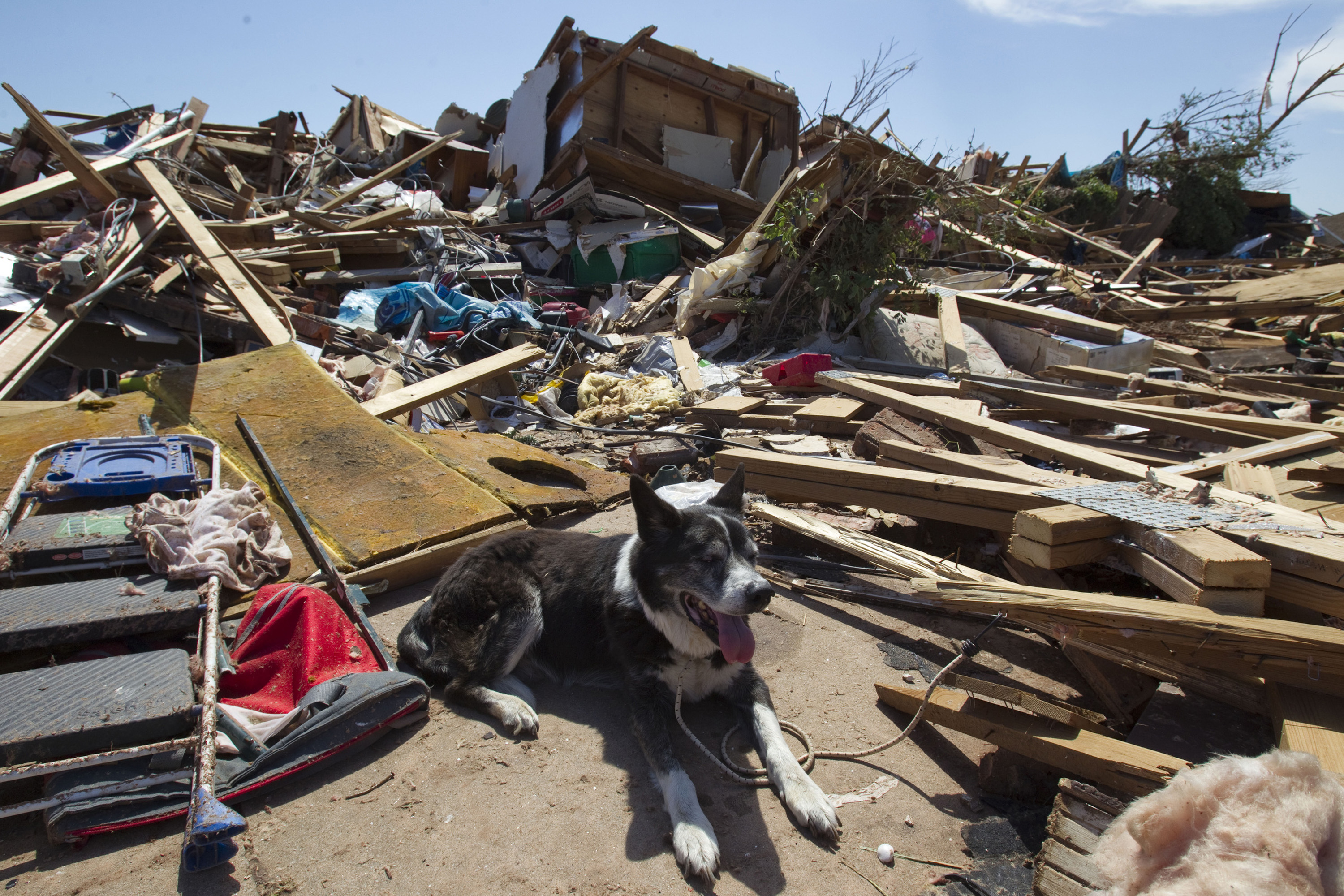 essay on hurricanes essay on hurricanes