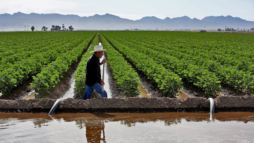 Pedro Figueroa irrigates a cotton field in Yuma, Arizona, in the spring. Seven states depend on water from the Colorado River, and a debate is brewing over the future of water rights.