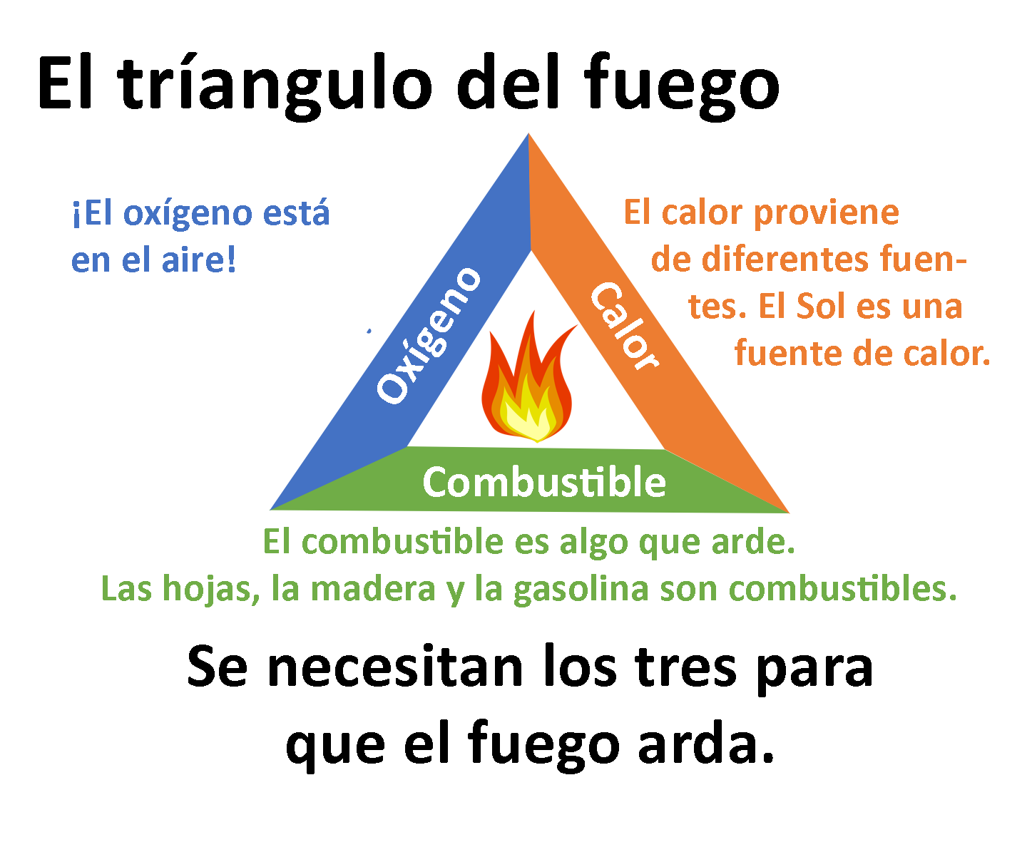 Newsela El papel de los incendios forestales en un ecosistema Newsela El papel de los incendios forestales en un ecosistema