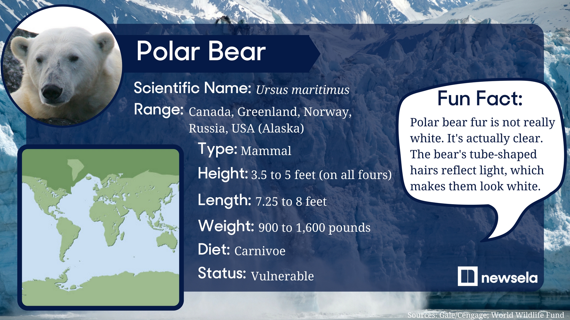 an analysis of the polar bears in the endangered species act Polar bears have it rough nrdc, and greenpeace, polar bears were given threatened species status under the us endangered species act in 2008. an analysis of the polar bears in the endangered species act Polar bears have it rough nrdc, and greenpeace, polar bears were given threatened species status under the us endangered species act in 2008.