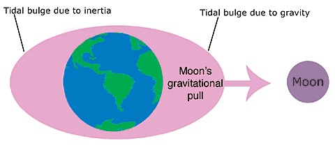 newsela what causes the tides in the ocean what causes tides