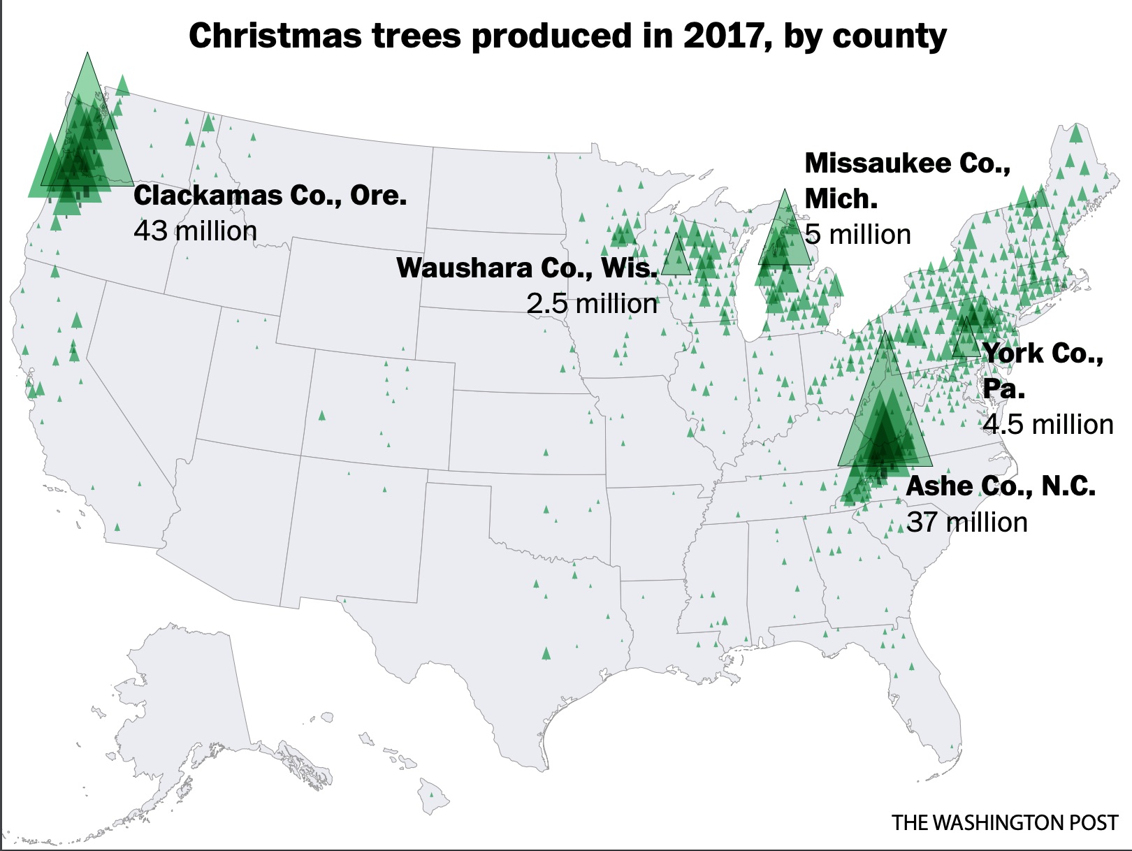 Newsela Where Christmas trees come from